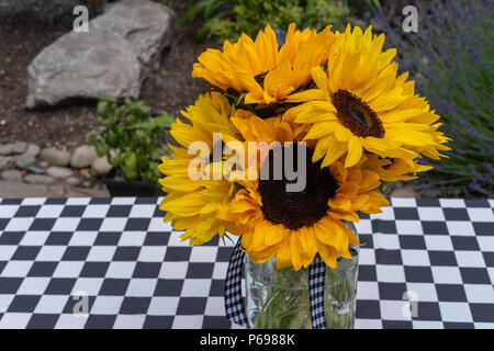 Sunflowers and Summer Stock Photo
