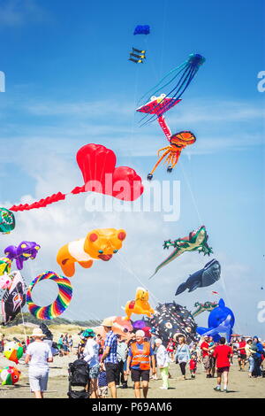 Otaki, New Zealand - March 3 2016: People out enjoying the festivities at the annual Otaki Kite Flying Festival held as an annual event each summer on Stock Photo