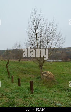 Beautiful Meadow With Trees Without Leaf Near The Ebro River In San Vicente De La Sonsierra. Nature, Landscape, History, Travel. December 26, 2015. Sa Stock Photo