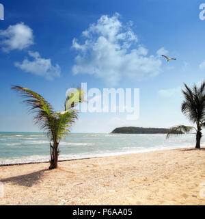 seascape image of beach with palm tree over sunny sky Stock Photo