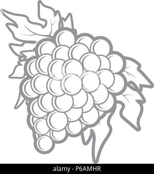Outline of bunch of grapes in simple style Stock Vector
