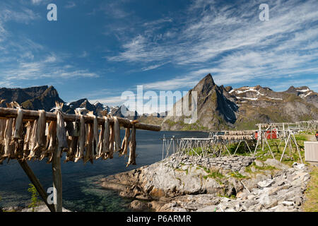 Fish drying on racks, Hamnoy, Lofoten Islands, Norway. Stock Photo