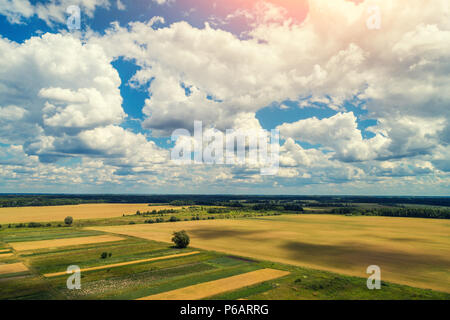 Aerial drone view of arable fields and plantation. Countryside, rural landscape with cloudy sky Stock Photo