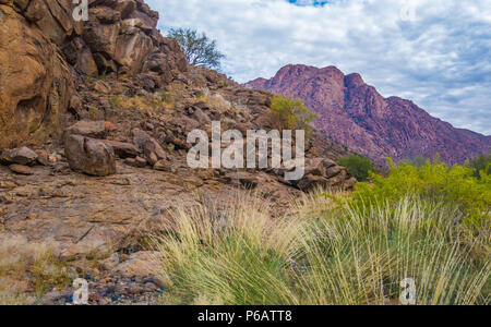 Hiking in the Brandberg massif to see bushmen rock paintings.  Damaraland (Erongo), Namib Desert, Namibia Stock Photo