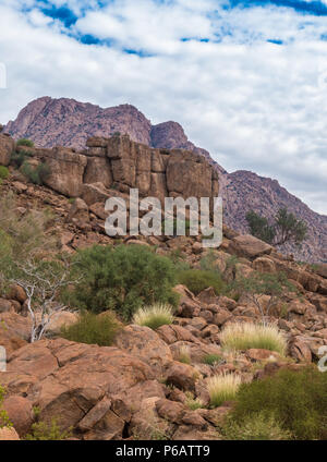 Hiking in the Brandberg massif to see bushmen rock paintings.  Damaraland (Erongo), Namib Desert, Namibia Stock Photo