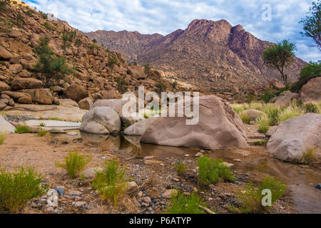 Hiking in the Brandberg massif to see bushmen rock paintings.  Damaraland (Erongo), Namib Desert, Namibia Stock Photo