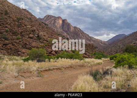 Hiking in the Brandberg massif to see bushmen rock paintings.  Damaraland (Erongo), Namib Desert, Namibia Stock Photo