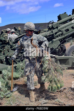 Oregon Army National Guard Spc. Cesario Repp, with Charlie Battery, 2nd Battalion, 218th Field Artillery Regiment, 41st Infantry Brigade Combat Team, prepares the area around his fire team's M777A Howitzer by removing brush in preparation of a practice, or dry run, May 22, at the Yakima Training Center near Yakima, Washington. The M777A are a new weapons system for the battalion, in addition to their M119A Howitzers. (Photo by Capt. Leslie Reed, 41st Infantry Brigade Combat Team Public Affairs) Stock Photo