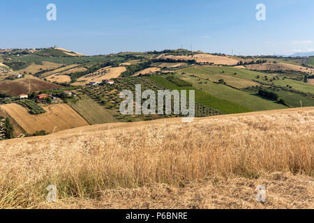 Panoramic view of olive groves and farms on rolling hills of Abruzzo Stock Photo