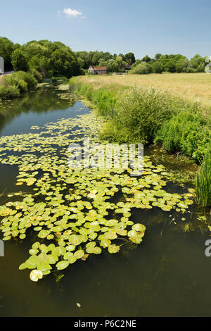 A view upstream of the Dorset Stour River from Trill Bridge near ...