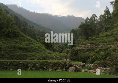 Beautiful valley  view Himalaya  of Uttrakhand  India Stock Photo