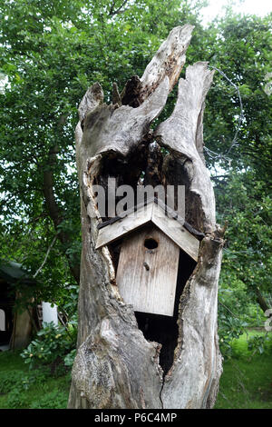 Berlin, Germany - Vogelhaeuschen is in a split tree trunk Stock Photo