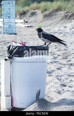 garbage can on a beach of Ostia, Rome, Italy Stock Photo