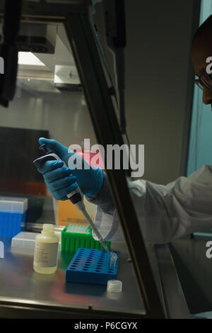Mixed race scientist pipetting solution into container in lab Stock ...
