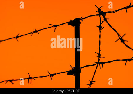 silhouette of a fence of barbed wire on an orange sky background Stock Photo