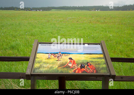 Weippe Prairie, Nez Perce National Historic Park, Gold Rush Historic Byway, Idaho Stock Photo