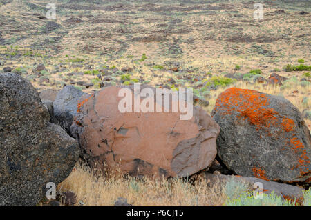 Petroglyphs, Abert Rim Wilderness Study Area, Lakeview District Bureau of Land Management, Oregon Stock Photo