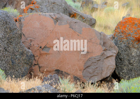 Petroglyphs, Abert Rim Wilderness Study Area, Lakeview District Bureau of Land Management, Oregon Stock Photo