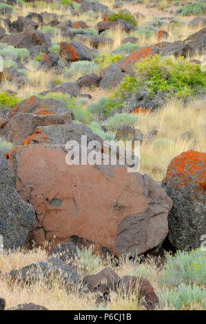 Petroglyphs, Abert Rim Wilderness Study Area, Lakeview District Bureau of Land Management, Oregon Stock Photo