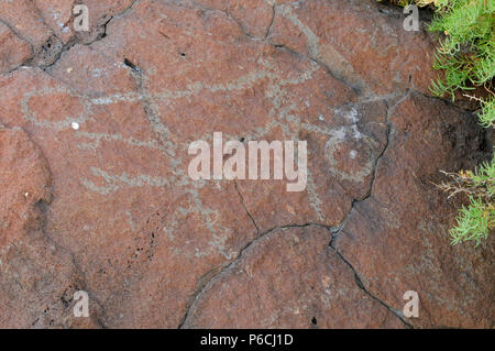 Petroglyphs, Abert Rim Wilderness Study Area, Lakeview District Bureau of Land Management, Oregon Stock Photo