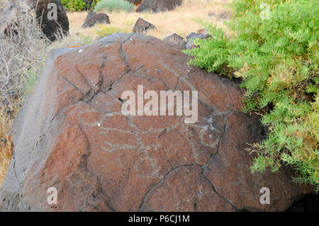 Petroglyphs, Abert Rim Wilderness Study Area, Lakeview District Bureau of Land Management, Oregon Stock Photo