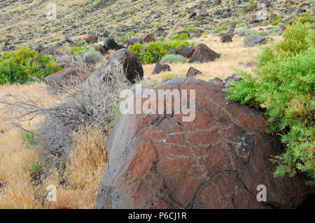 Petroglyphs, Abert Rim Wilderness Study Area, Lakeview District Bureau of Land Management, Oregon Stock Photo