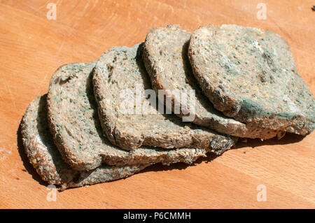 Moldy slices of whole-grain bread closeup on wooden board background Stock Photo