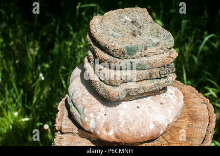 Pile of moldy slices of whole-grain bread on moldy loaf closeup on green natural background Stock Photo