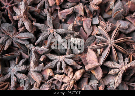 Star of Anise Stock Photo
