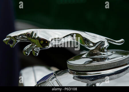 Leaping Cat Mascot on the hood of a Vintage Jaguar Car. Stock Photo