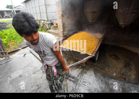 The processed rice is being brought out at Ishwardi Upazila, Pabna District in Rajshahi Division, Bangladesh. Stock Photo