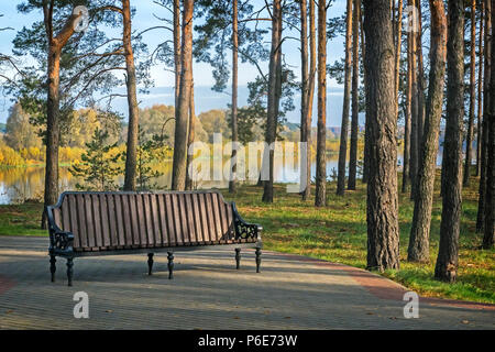 Autumn landscape: in the Park on the river Bank among the tall pines stands a wooden bench for rest. Stock Photo