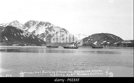 Three Japanese seal poaching schooners in harbor, Unalaska, ca 1911 ...