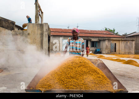 The processed rice is being brought out at Ishwardi Upazila, Pabna District in Rajshahi Division, Bangladesh. Stock Photo