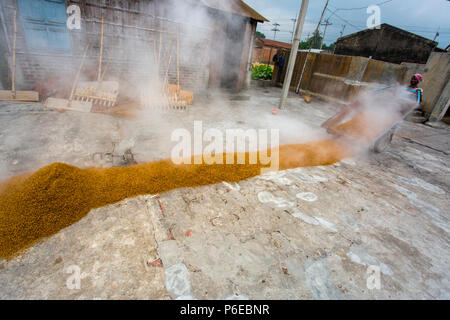 The processed rice is being brought out at Ishwardi Upazila, Pabna District in Rajshahi Division, Bangladesh. Stock Photo