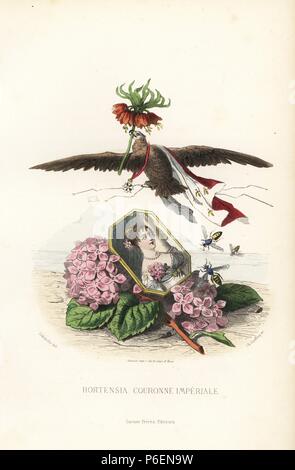 Emblematic illustration of hortensia, Hydrangea macrophylla, and crown imperial, Fritillaria imperialis, flowers. Hortensia flowers and leaves provide a bed for portrait of a woman, while an eagle with ribbon and medal flies off with a crown imperial. Handcoloured steel engraving by C. Geoffrois after an illustration by Jean Ignace Isidore Grandville from 'Les Fleurs Animees,' Paris, Gabriel de Gonet, 1847. Stock Photo