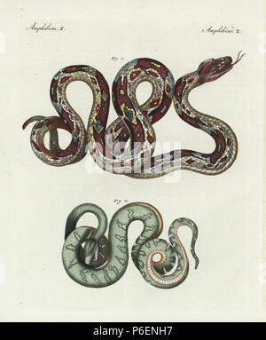 Boa constrictor and emerald tree boa, Corallus canina. Handcoloured copperplate engraving from Bertuch's 'Bilderbuch fur Kinder' (Picture Book for Children), Weimar, 1798. Friedrich Johann Bertuch (1747-1822) was a German publisher and man of arts most famous for his 12-volume encyclopedia for children illustrated with 1,200 engraved plates on natural history, science, costume, mythology, etc., published from 1790-1830. Stock Photo