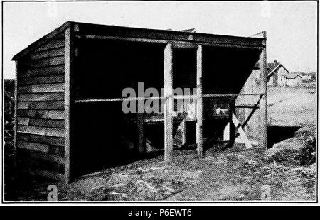 English: Scan from a book 'Care and Management of Rabbits' . 1920 9 Care and Management of Rabbits 0093a Stock Photo