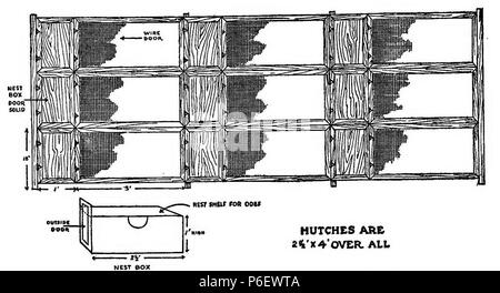 English: Scan from a book 'Care and Management of Rabbits' . 1920 9 Care and Management of Rabbits 0106 Stock Photo