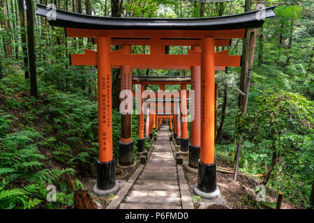 Kyoto: The Forest Within the Gate: Shiffert, Edith, Einarsen