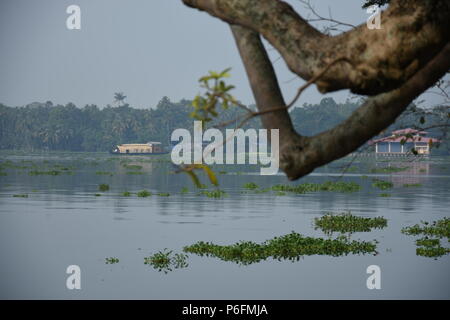 Exciting view of house boat riding in Vembanad lake from Thanneermukkom bund. Stock Photo