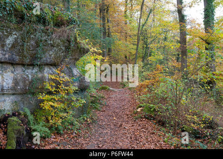 Mullerthal trail Luxembourg hike in autumn