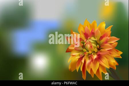 Delicate red gold Aster on a blurred green background Stock Vector