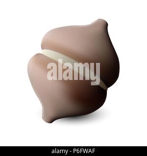 Cake with whipped cream frosted. Close up on white background. Stock Vector