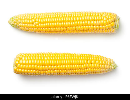 Corn ears isolated on white background. Top view Stock Photo