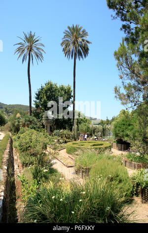 Mediterranean Botanical garden, Soller, Mallorca, Spain Europe Stock Photo