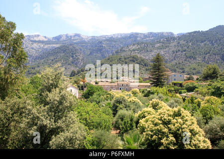 Mediterranean garden view, Soller, Mallorca, Spain Europe Stock Photo
