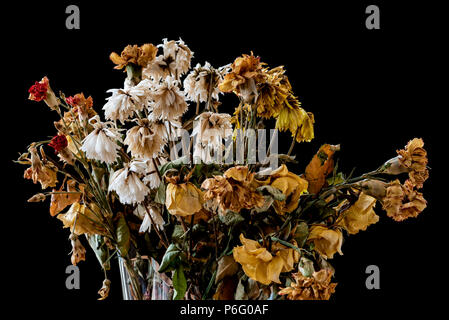 Vase of dead and decaying flowers. Representing feelings of loneliness, sadness, depression and loss of life. Stock Photo