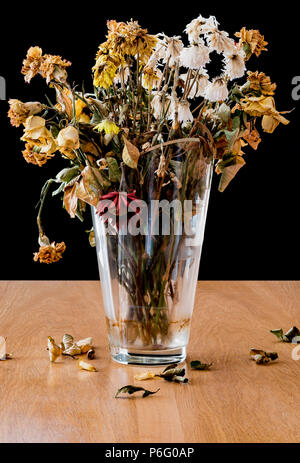 Vase of dead and decaying flowers. Representing feelings of loneliness, sadness, depression and loss of life. Stock Photo