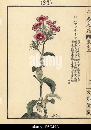 Japanese clasic script フラワー Flower バイク Japanese clasic script フラワー Flower バイク